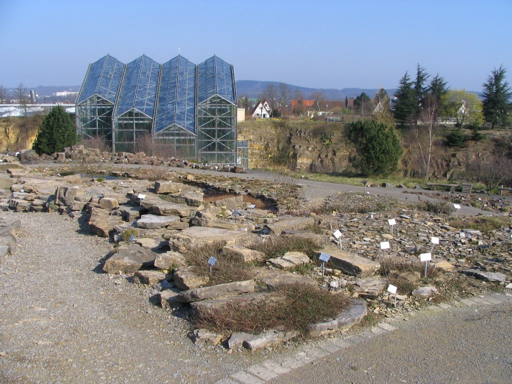 Botanischer Garten