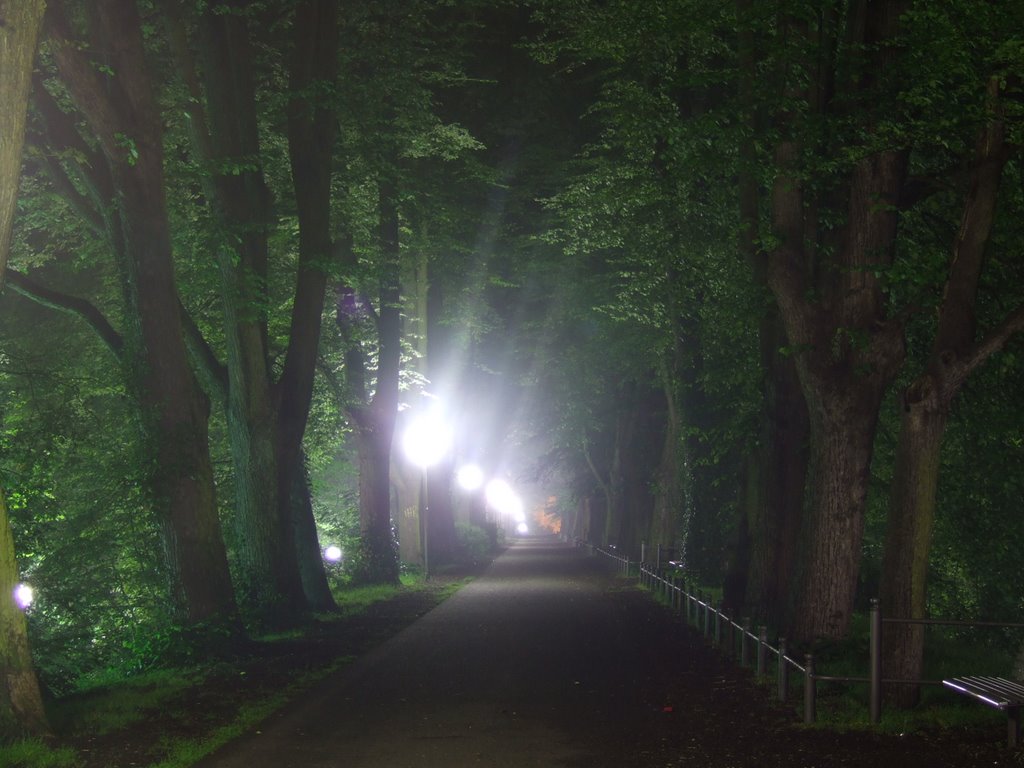 Herrenteichswall bei Nacht im Mai 2007