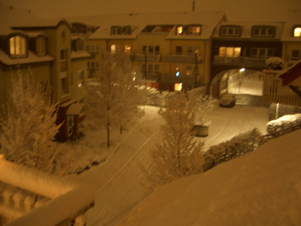 Weidenhof im Schnee 2007