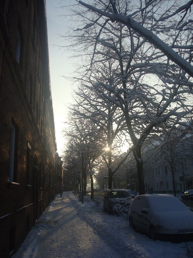 Оснабрик / Sutthauser Straße - Osnabrück