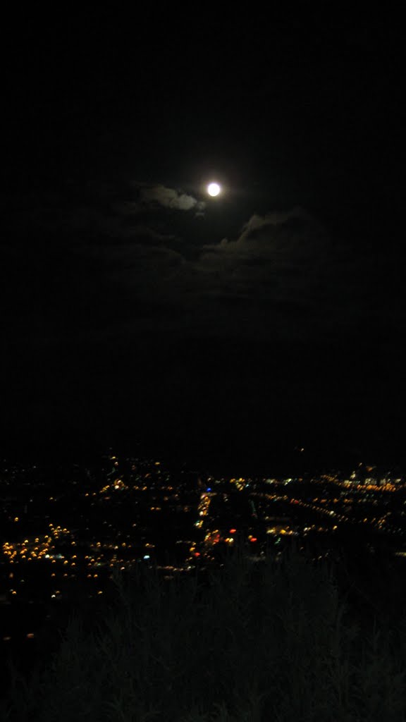 Man on the Moon