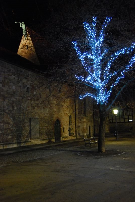 Hässlichster baum ever