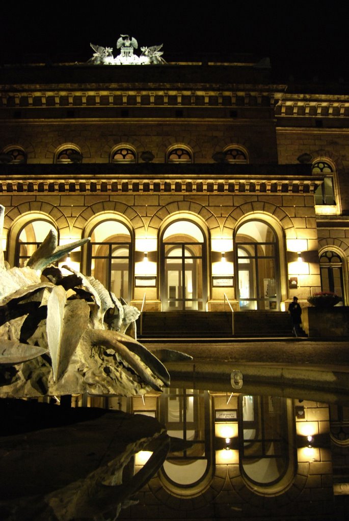 Staatstheater Braunschweig bei Nacht