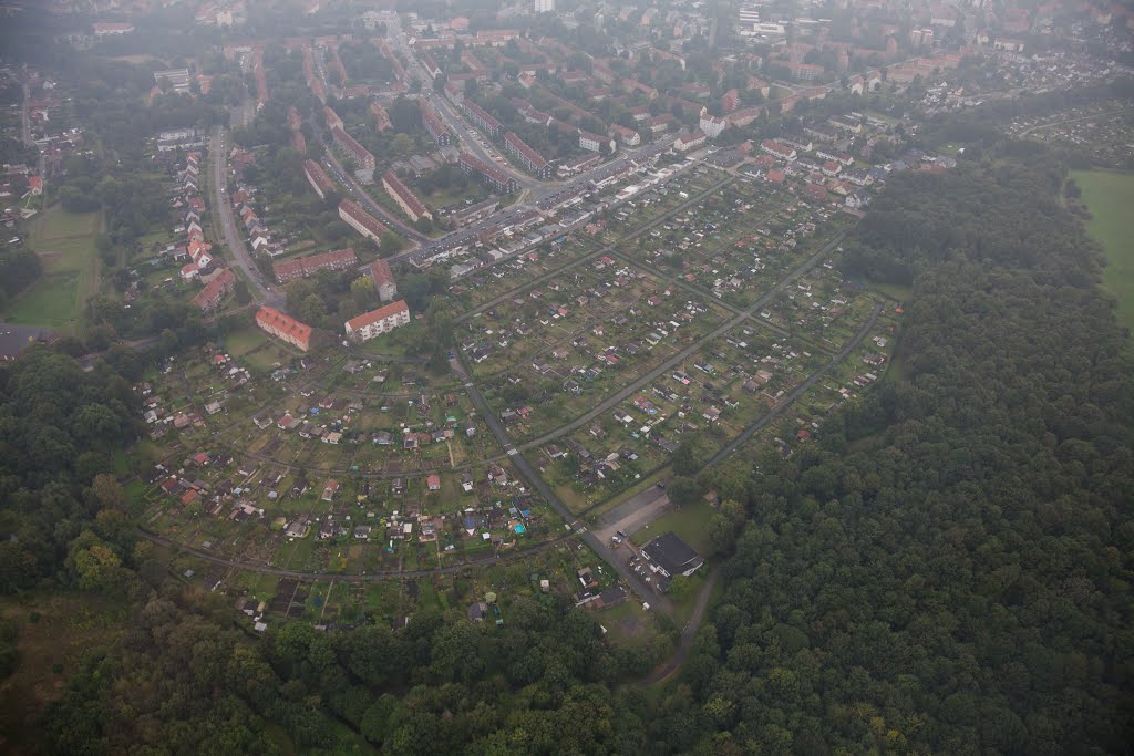 Luftaufnahme | Kleingärten | Feldstraße | Salzgitter Lebenstedt