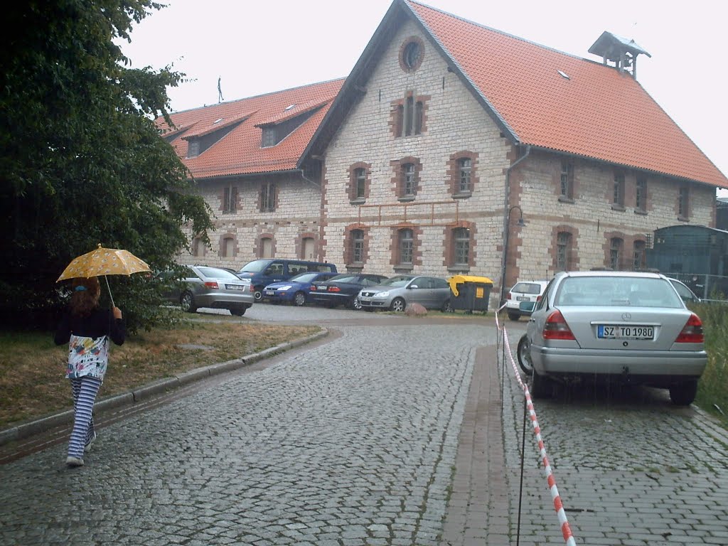 ALMANYA / SALZGİTTER / LEBENSTEDT