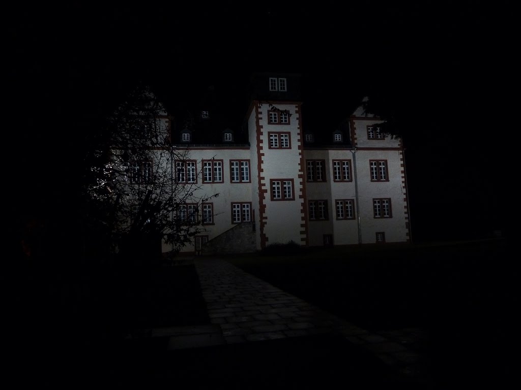 Germany, Salzgitter, Salder, Castle by night