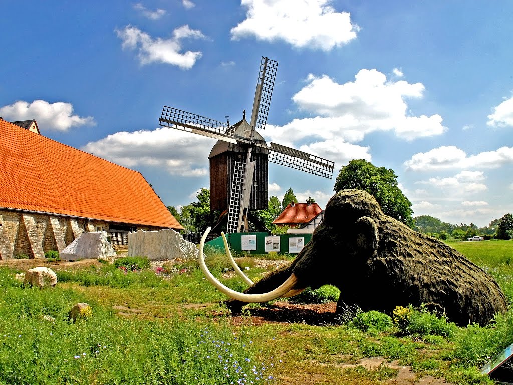 Steinzeitgarten Museum Salzgitter-Salder