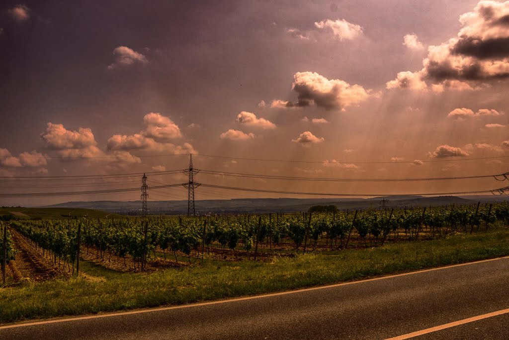 Energie im Wein