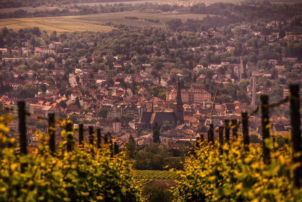 Durch den Weinberg nach Bad Kreuznach