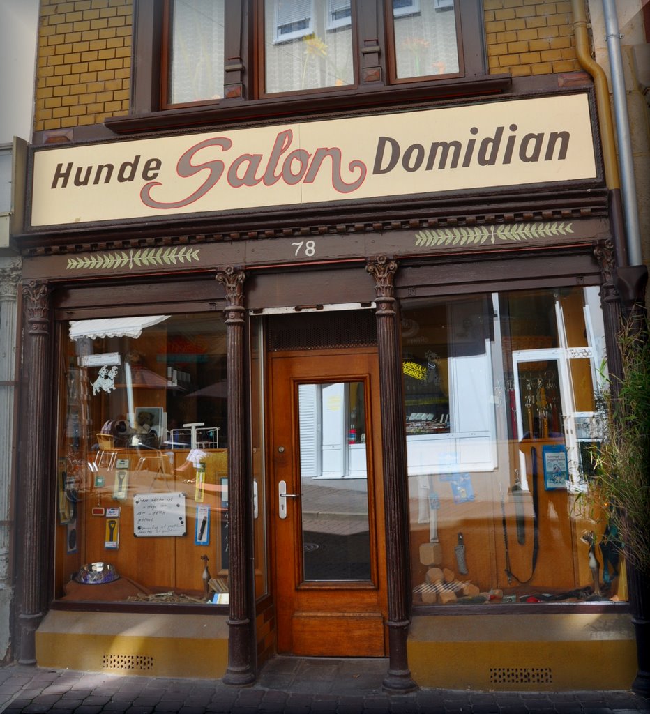 Alter Laden