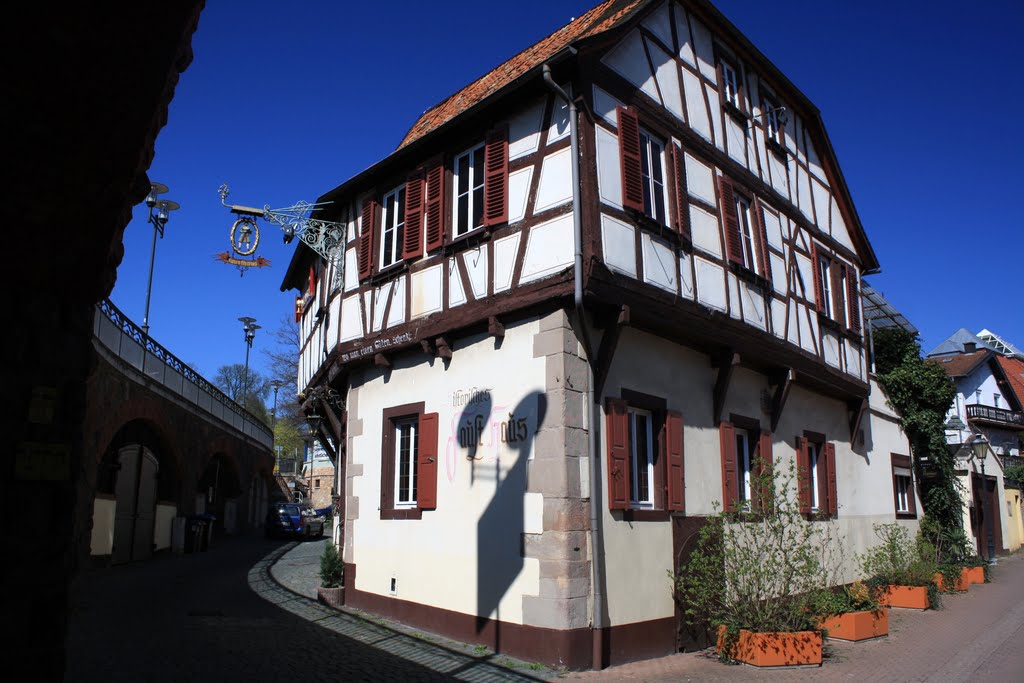 Faust Haus