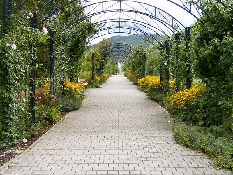 T - Fontäne auf der Roseninsel