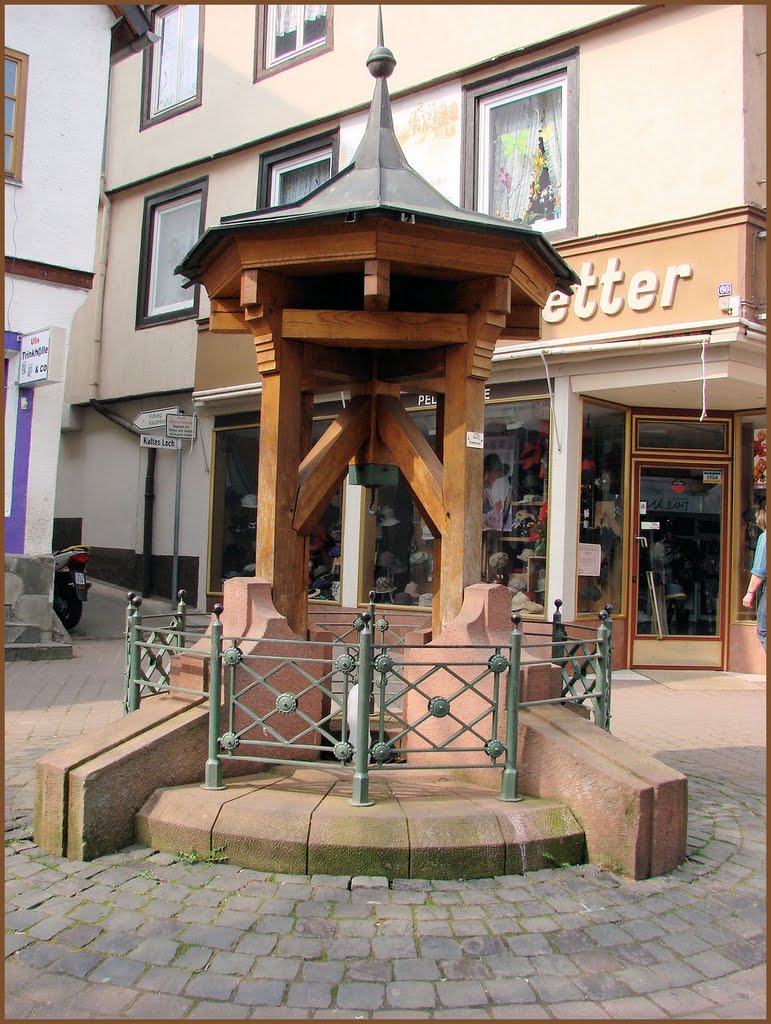 Brunnen am Kalten Loch, Bad Kreuznach, April 2009