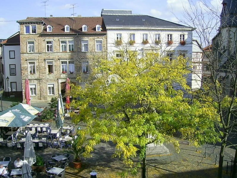 T - Eiermarkt im Herbst 3