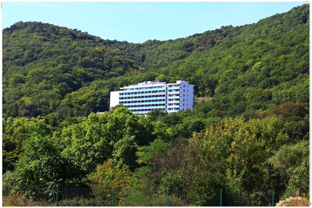 Klinik Nahetal**
