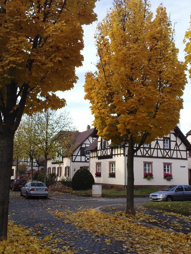 Benediktinerstraße