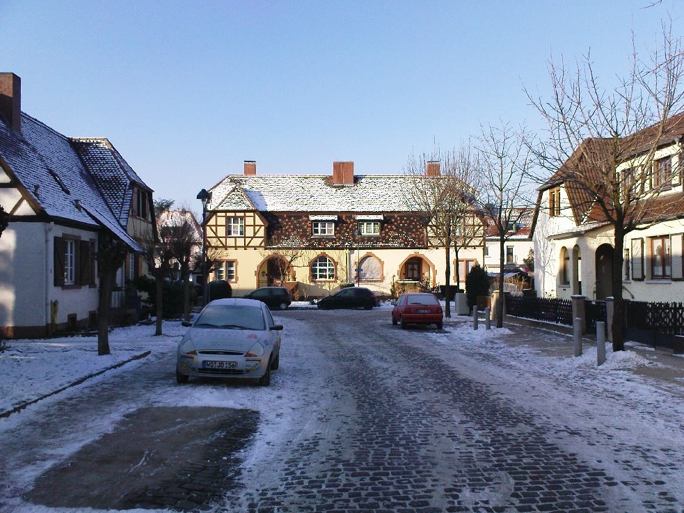 Worms im Winter