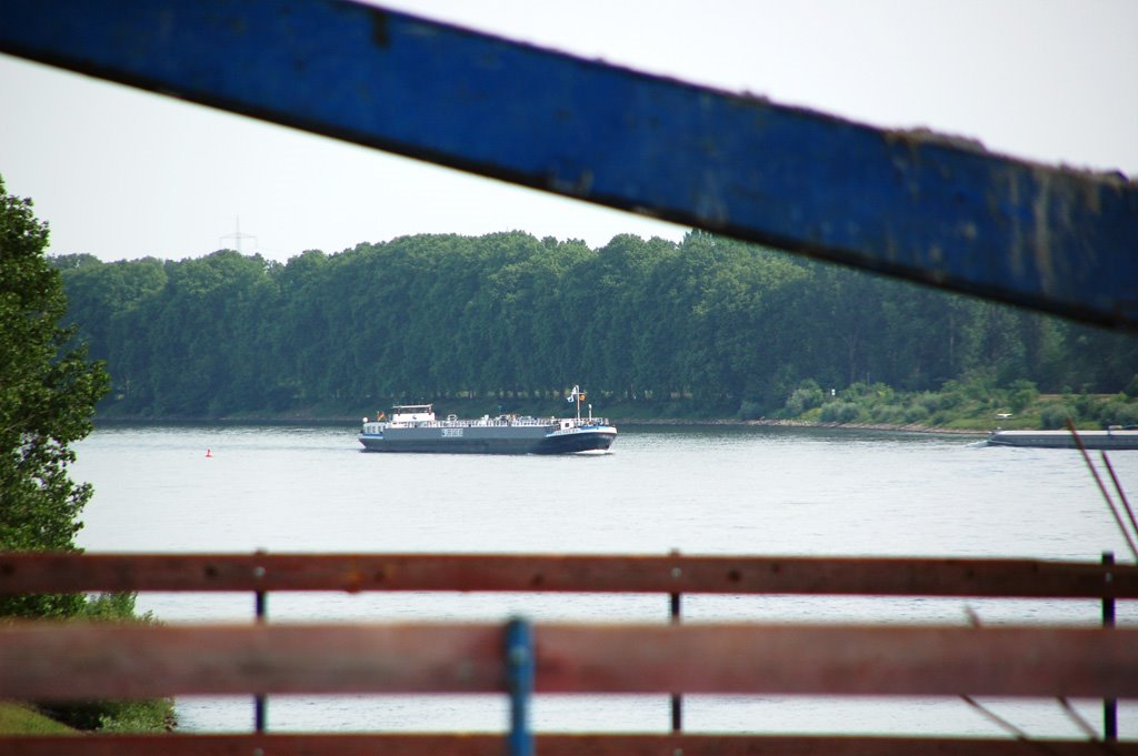 Worms: neue "Nibelungen" -Rheinbrücke 14/15 - Blick durch den Freivorbauwagen rheinaufwärts, Richtung Mannheim