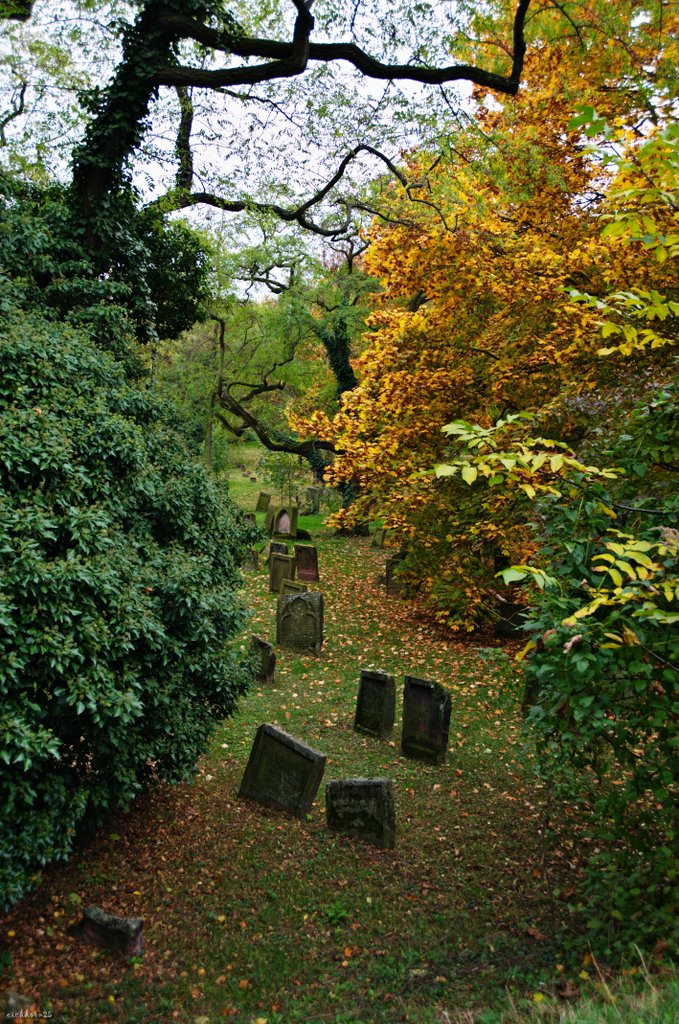 Alter Jüdischer Friedhof "Heiliger Sand" in Worms