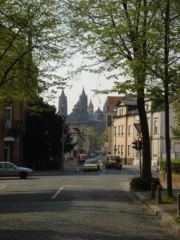 Wormser Dom aus der Ferne / Worms Cathetral from Distance
