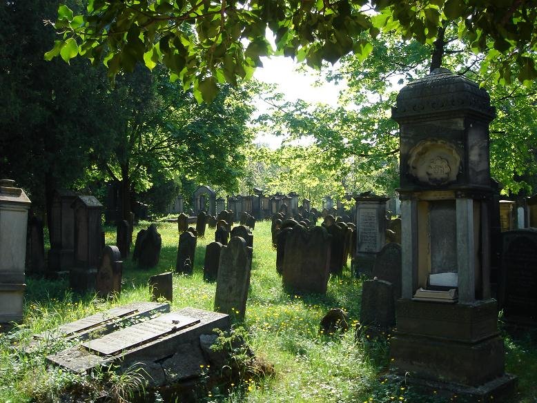 Jüdischer Friedhof / Jewish Cemetery
