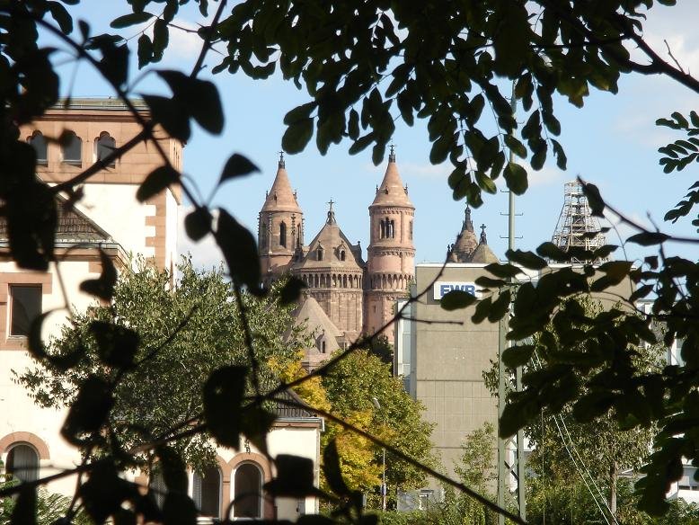 Blick auf den Dom