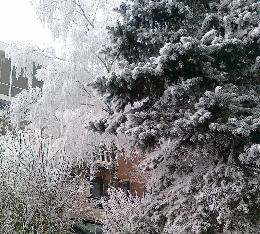 Winterschmuck