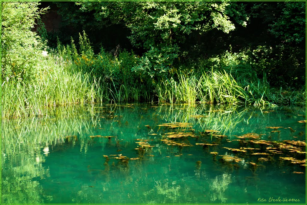 Gartenschau Kaiserslautern