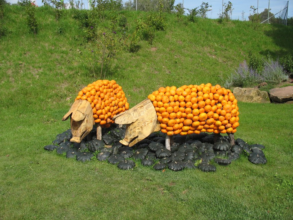 Kürbisschwienchen