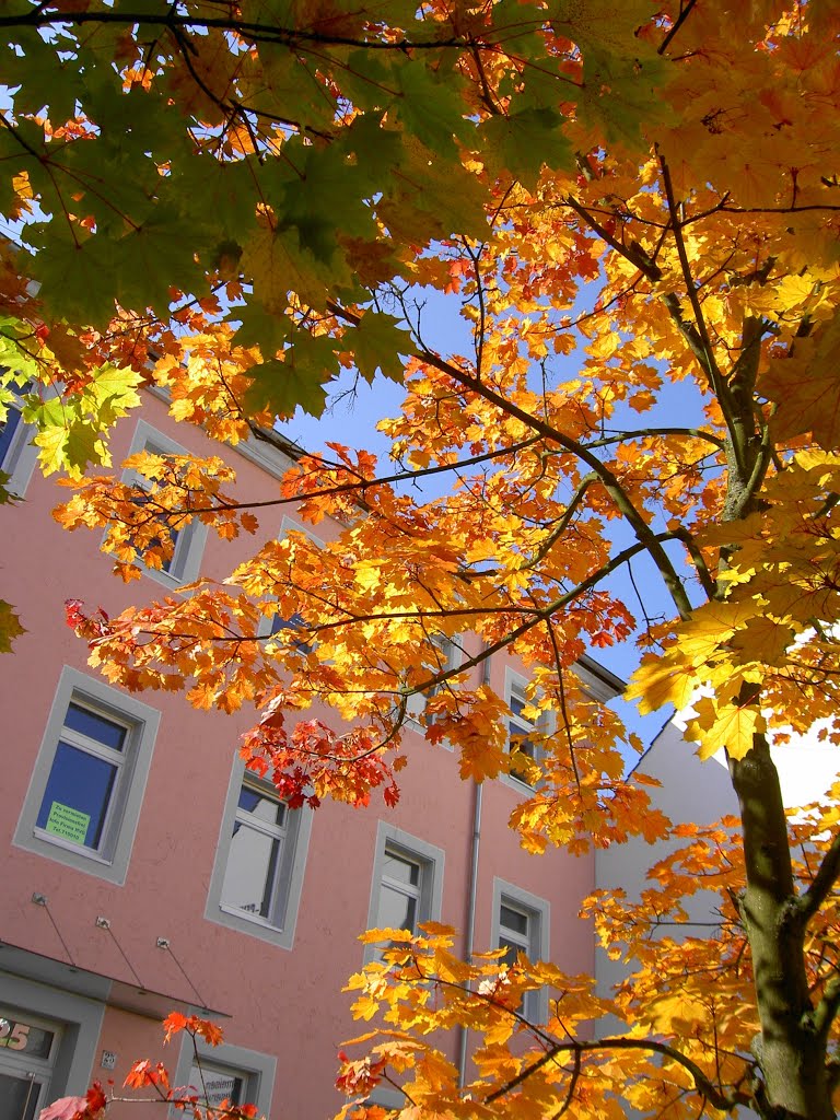 Herbst in der Stadt
