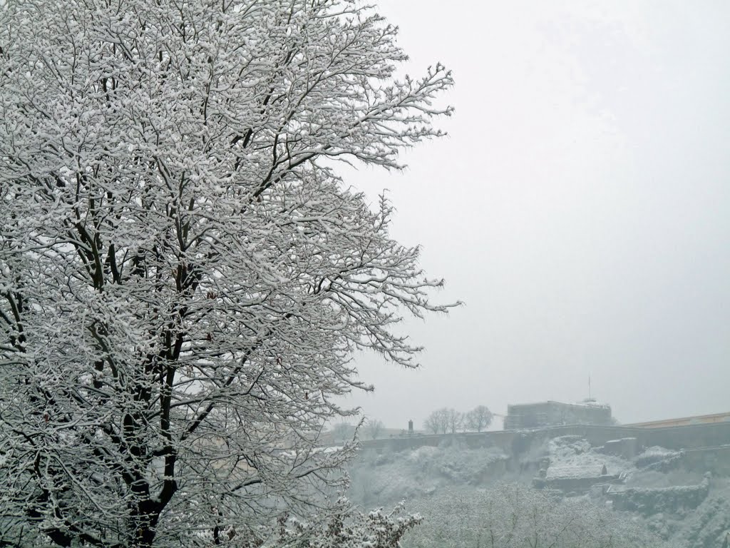 Festung Ehrenbreitstein