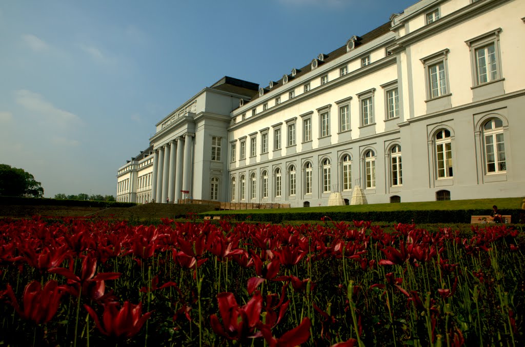 Schloß Koblenz ( Rheinseite)