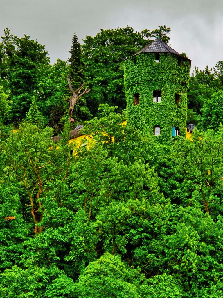 Der Efeu bewachsene Luisenturm.