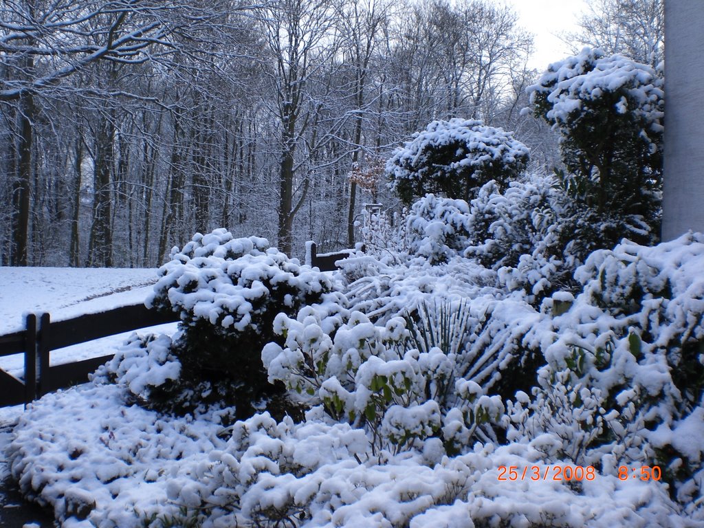 Spring in Germany