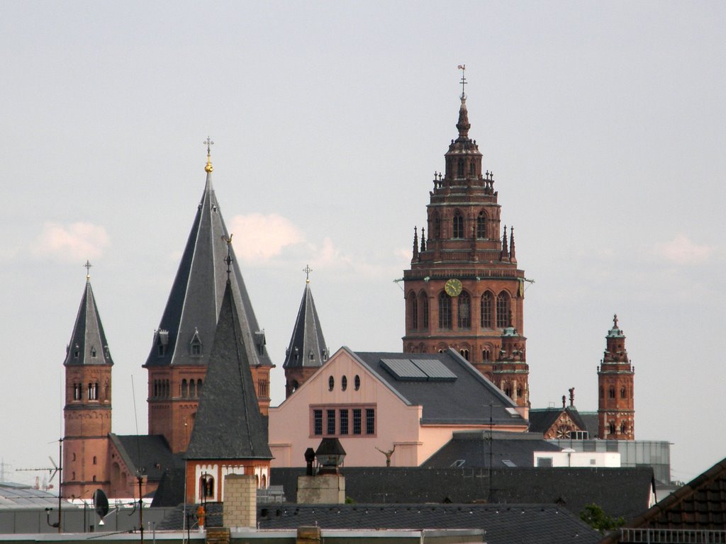 Dom 4