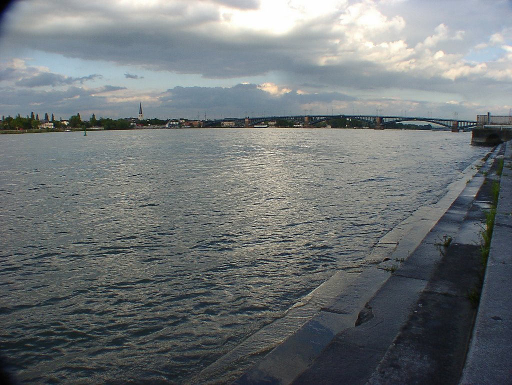 Rheinufer - Mainz
