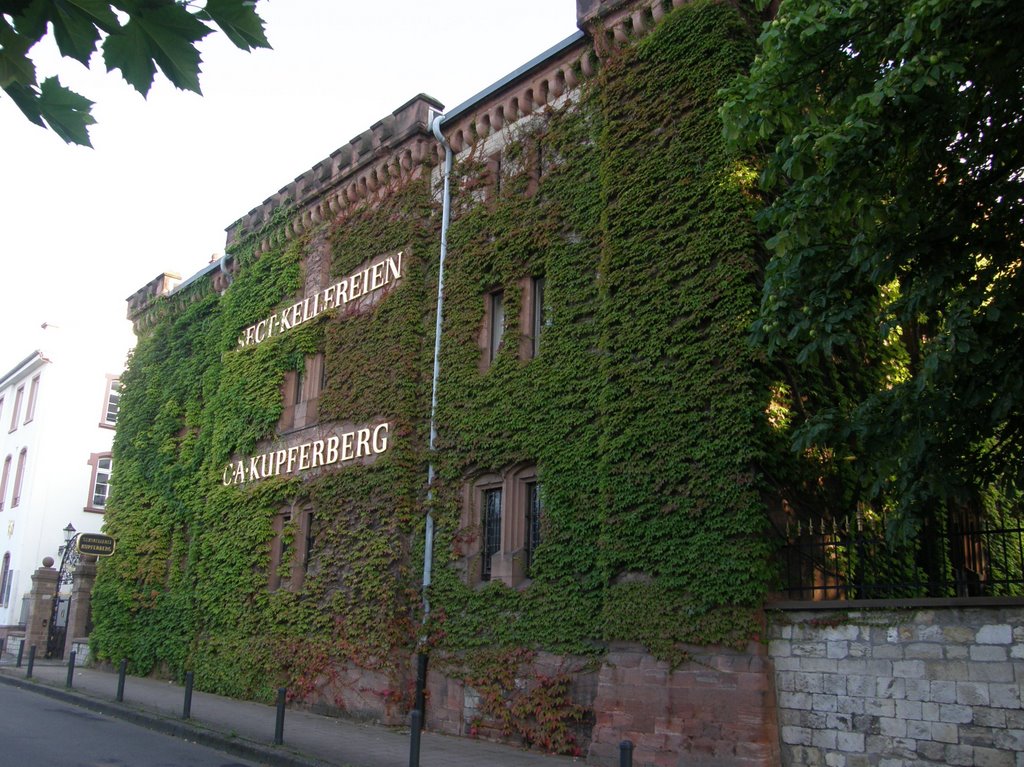 Kupferberg