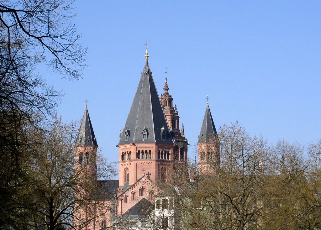 Dom zu Mainz
