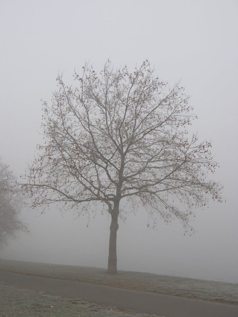 In the bleak midwinter
