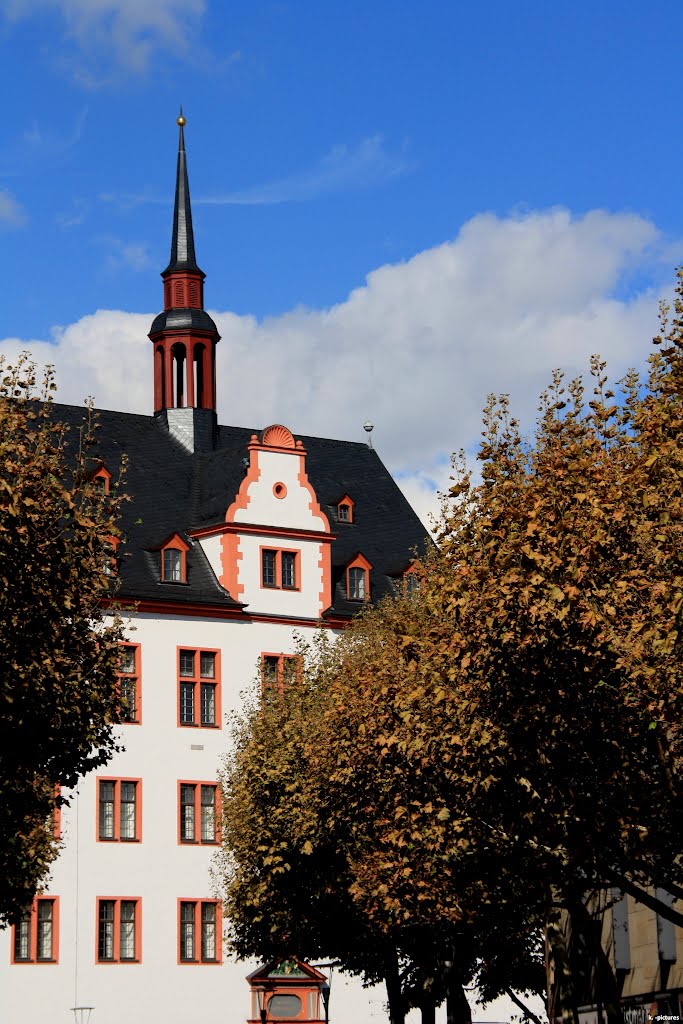 Ein goldener Tag in Mainz