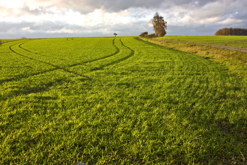 Gemünden Plateau