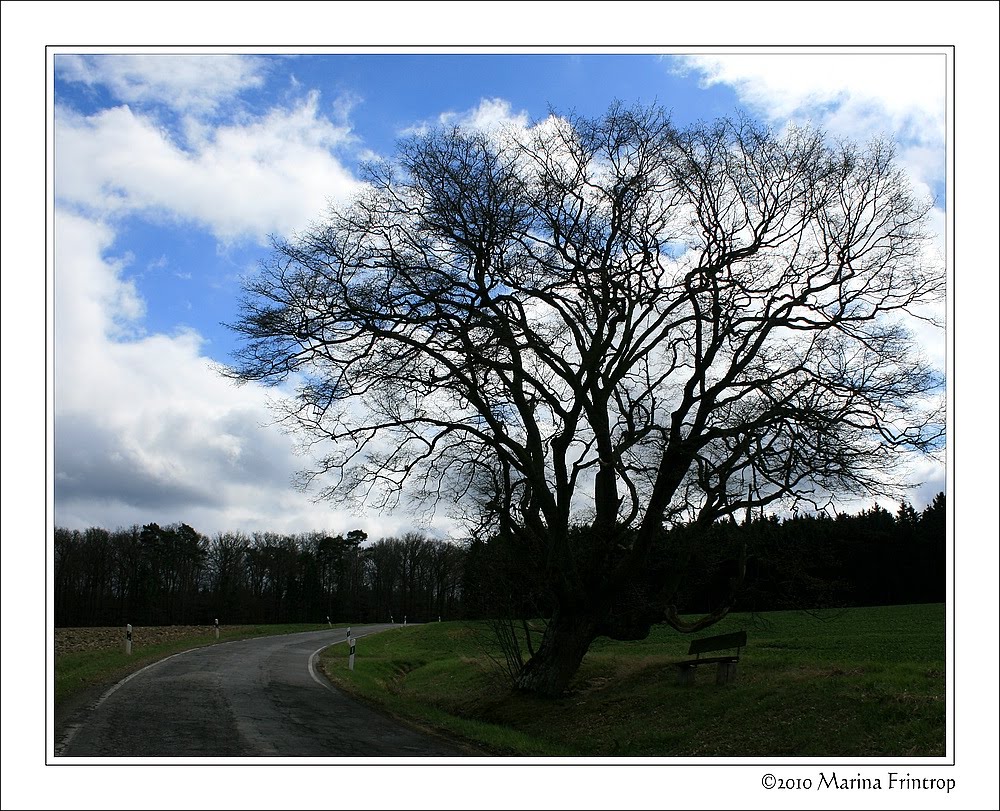 Unterwegs im Hunsrück - Raststätte auf dem Weg nach Maitzborn
