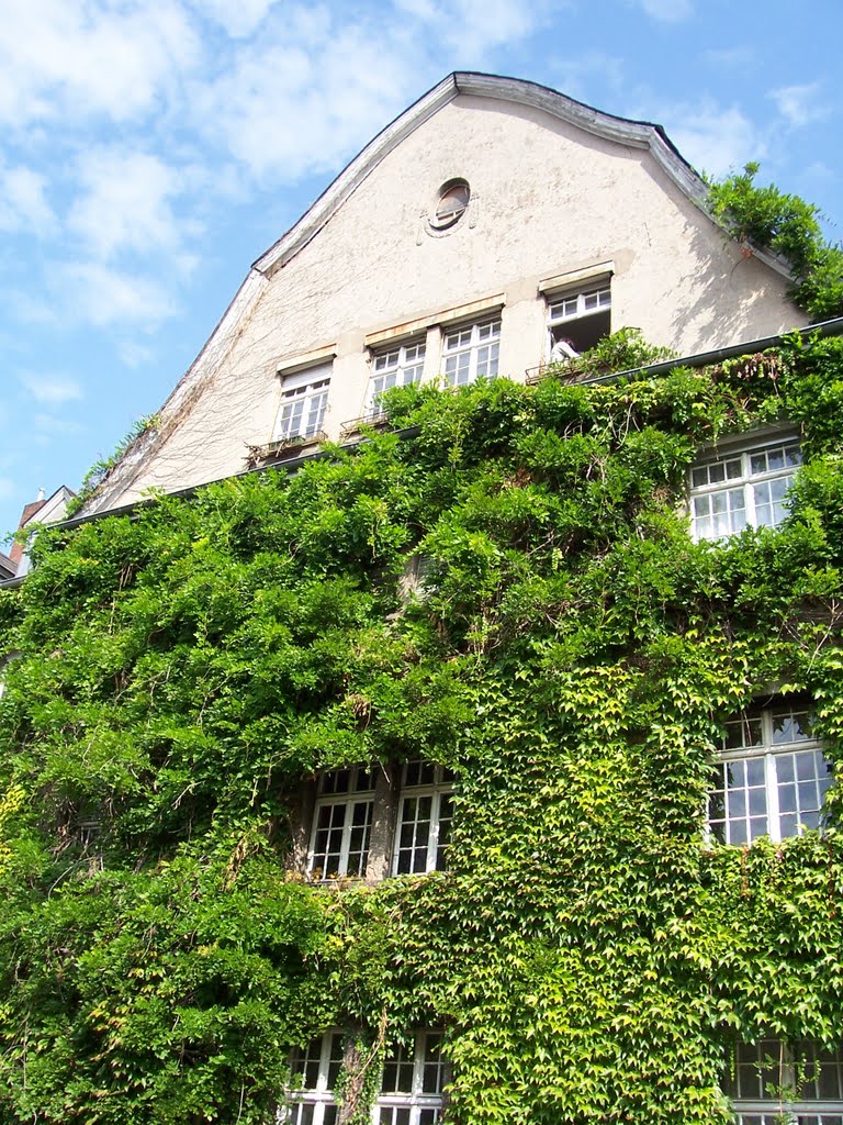Trier, Weidegasse