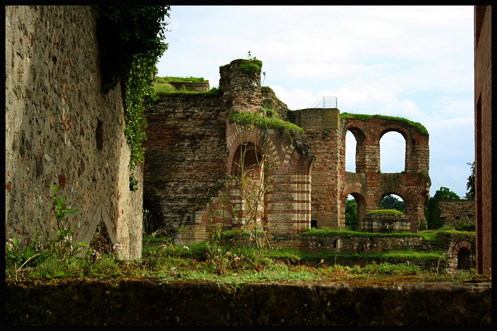 The ruins and the nature, centuries passed by