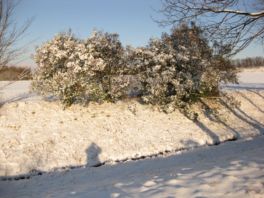 Winterlandschaft in Ahlen