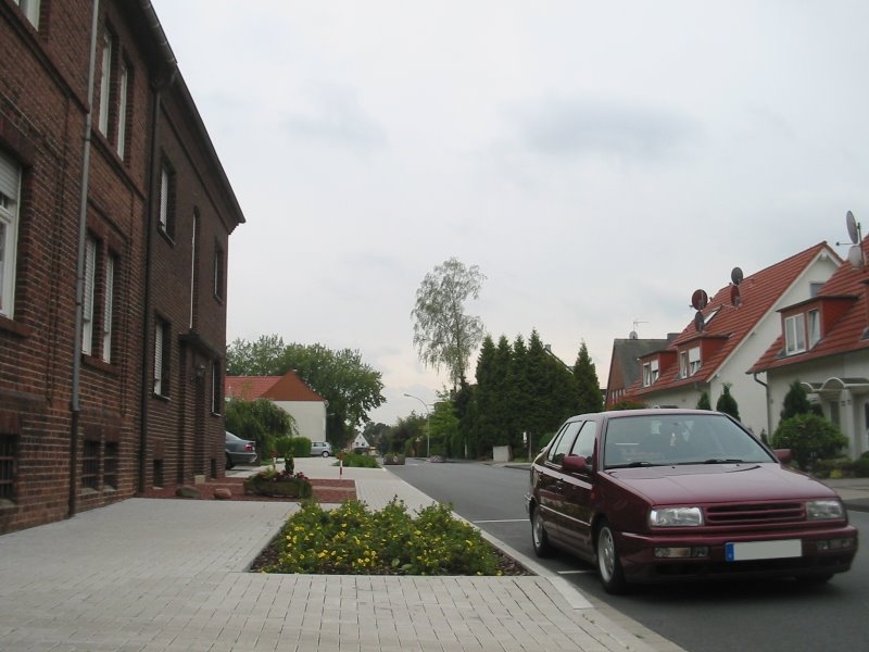 Die Winkelstrasse