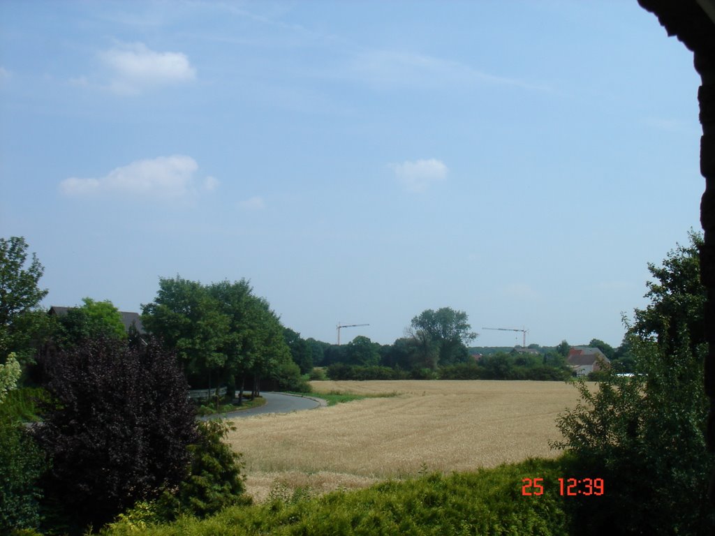 Beesenfeld