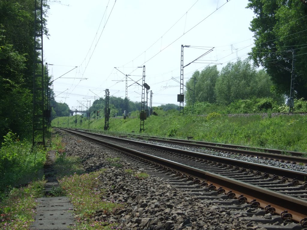 Einfahrvorsignal Ahlen von hinten