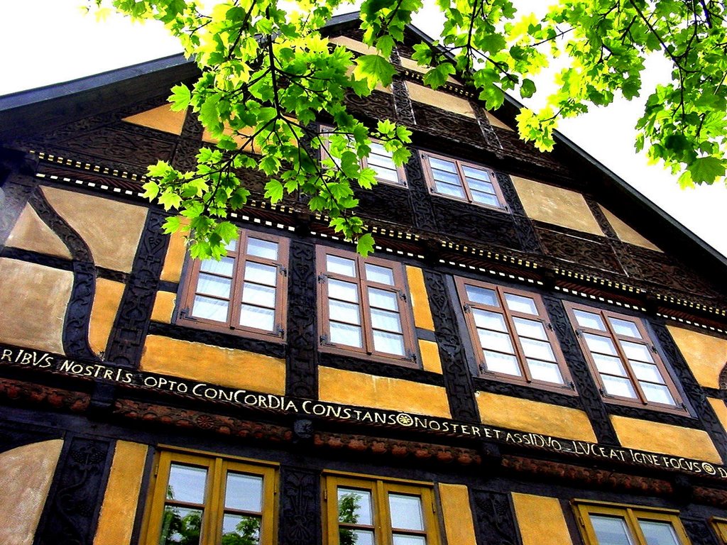 Bad Salzuflen A