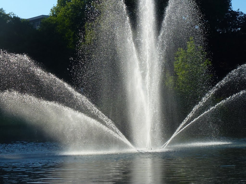 tanzende Wasser